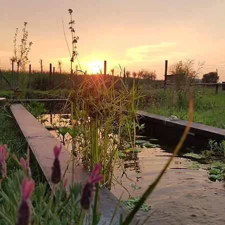 De Wabisabiboerderij